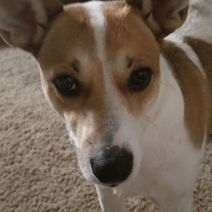 Meet your Posher, Patti